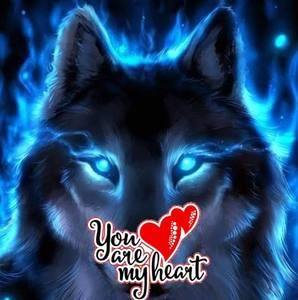 Meet your Posher, Karla